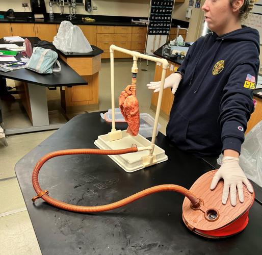 lung pump