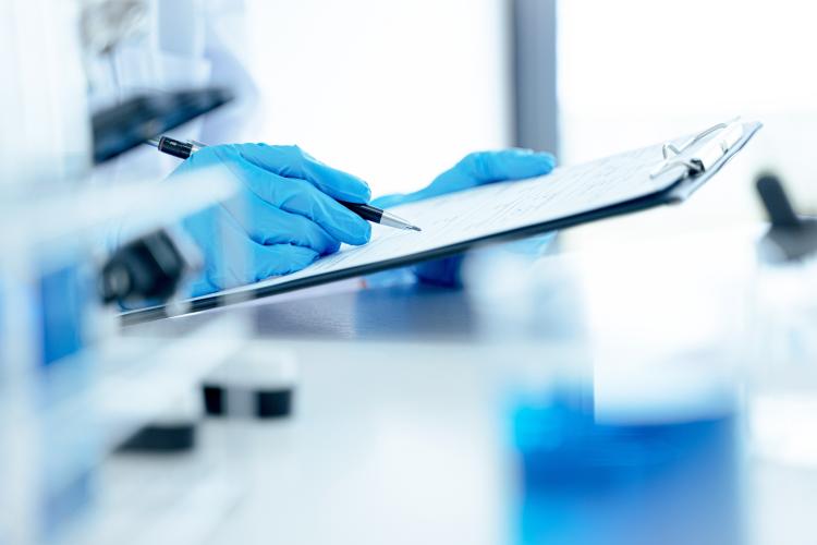 medical image