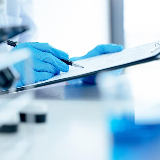 medical image
